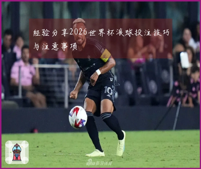 经验分享2026世界杯滚球投注技巧与注意事项