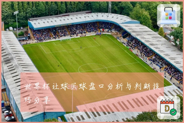 世界杯让球买球盘口分析与判断技巧分享
