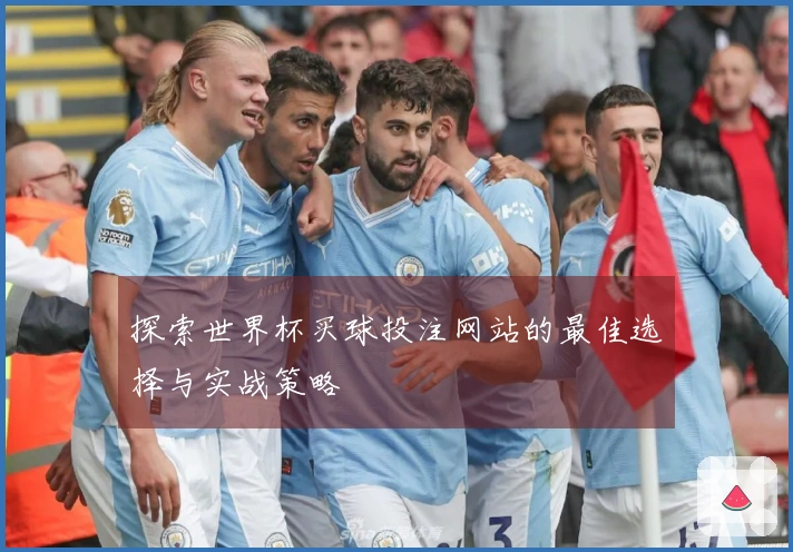 探索世界杯买球投注网站的最佳选择与实战策略
