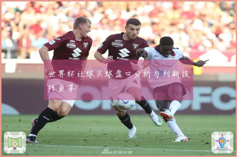 世界杯让球买球盘口分析与判断技巧分享