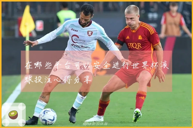 在哪些平台可以安全进行世界杯滚球投注心得分享